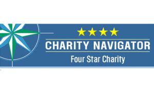 seo charity|SEO Contribute.